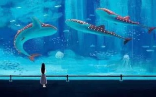 亚马逊精品FBM怎么选品？有哪些选品方法？