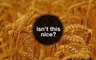 一个号一天刷几单安全是真的吗？怎么补单比较靠谱？