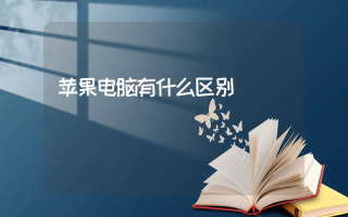 苹果电脑有什么区别