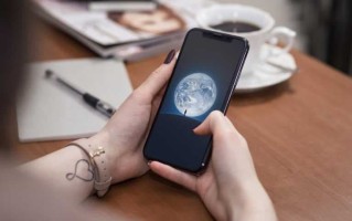 xjjwnet这个域名是否可以给个转移密码，客户自行转出