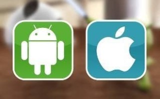 苹果手机有文件管理吗