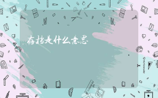 存档是什么意思