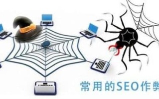 SEO快速排名，关键词快速排名软件，到底靠谱不靠谱