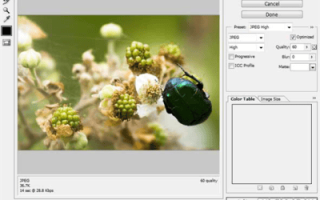 如何在Amazon上买东西？有哪些亚马逊购物小妙招？