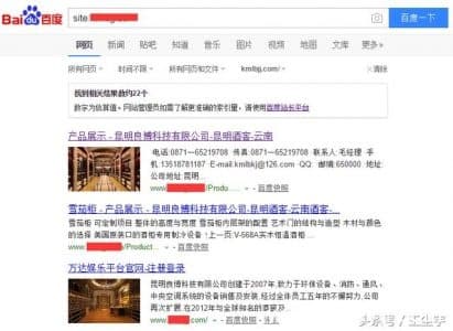 近期网站快照劫持猖獗,做优化如何预防快照劫持-第2张图片-王尘宇 近期网站快照劫持猖獗,做优化如何预防快照劫持-第2张图片-王尘宇