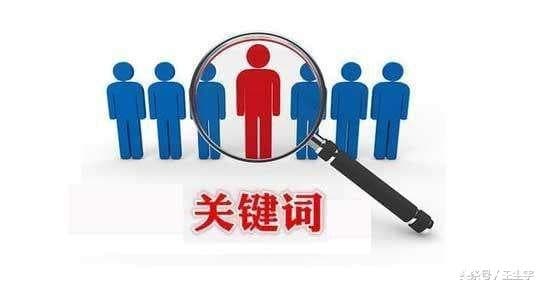 SEO快速排名，关键词快速排名软件，到底靠谱不靠谱-第4张图片-王尘宇