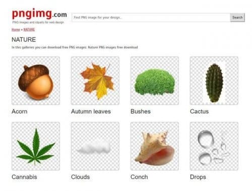 免抠图素材网站推荐-第1张图片-王尘宇