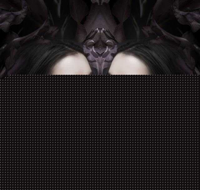 网站维护，网站被镜像是好是坏，被恶意镜像怎么处理-第7张图片-王尘宇