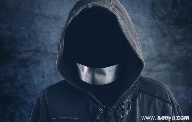 网站优化快速排名软件大全，用不用随你不做建议-第1张图片-王尘宇