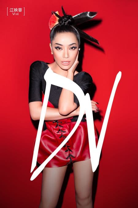 dv是什么意思-第1张图片-王尘宇